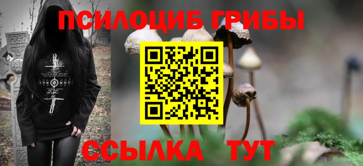 Псилоцибиновые грибы прущие грибы Новочеркасск
