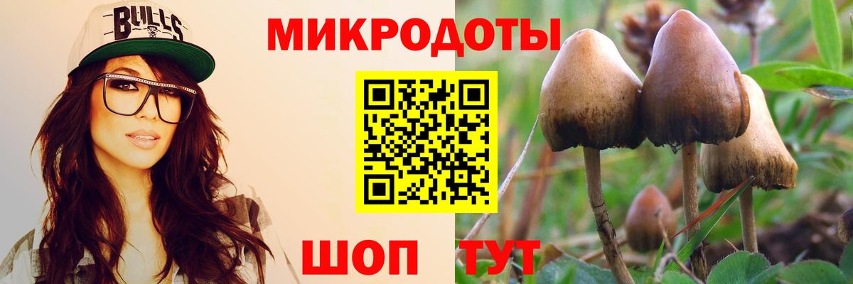 Новочеркасск  Псилоцибиновые грибы ЛСД  Вход с VPN 